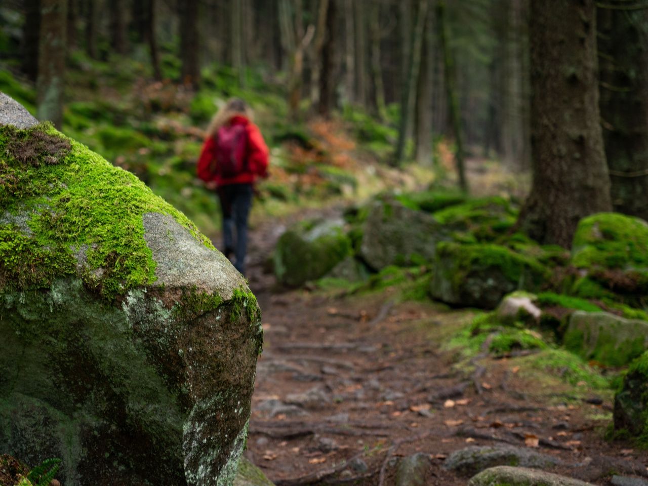 Langzeit Schläfer in Thale - 8 Tage