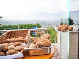 4 Tage Bio-aktive Erholung Wandern in und um Meran