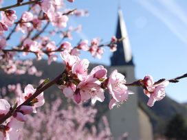 Urlaub beim Winzer an der Mosel