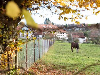 4 Tage Urlaub im Schwarzwald für Erholungssuchende