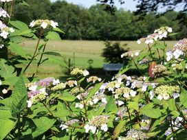 Veluwe Auszeit im Hotel De Paasberg – 3 Tage