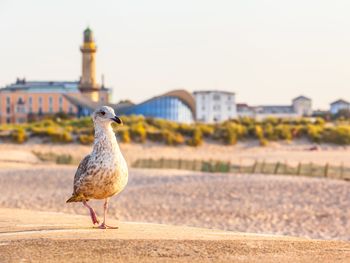 Wellnessauszeit zu Zweit in Rostock