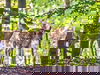 6 abenteuerliche Tage in der Natur