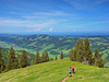 Auszeit im Allgäu mit Gourmet Frühstück - 2 Nächte