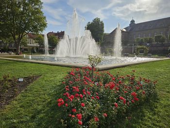 Tour de Rhôn - 4 Tage mit dem Rad durch die Rhön