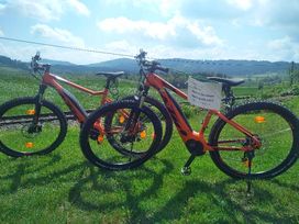 2 Tage Landhotel Seeg mit Frühstück