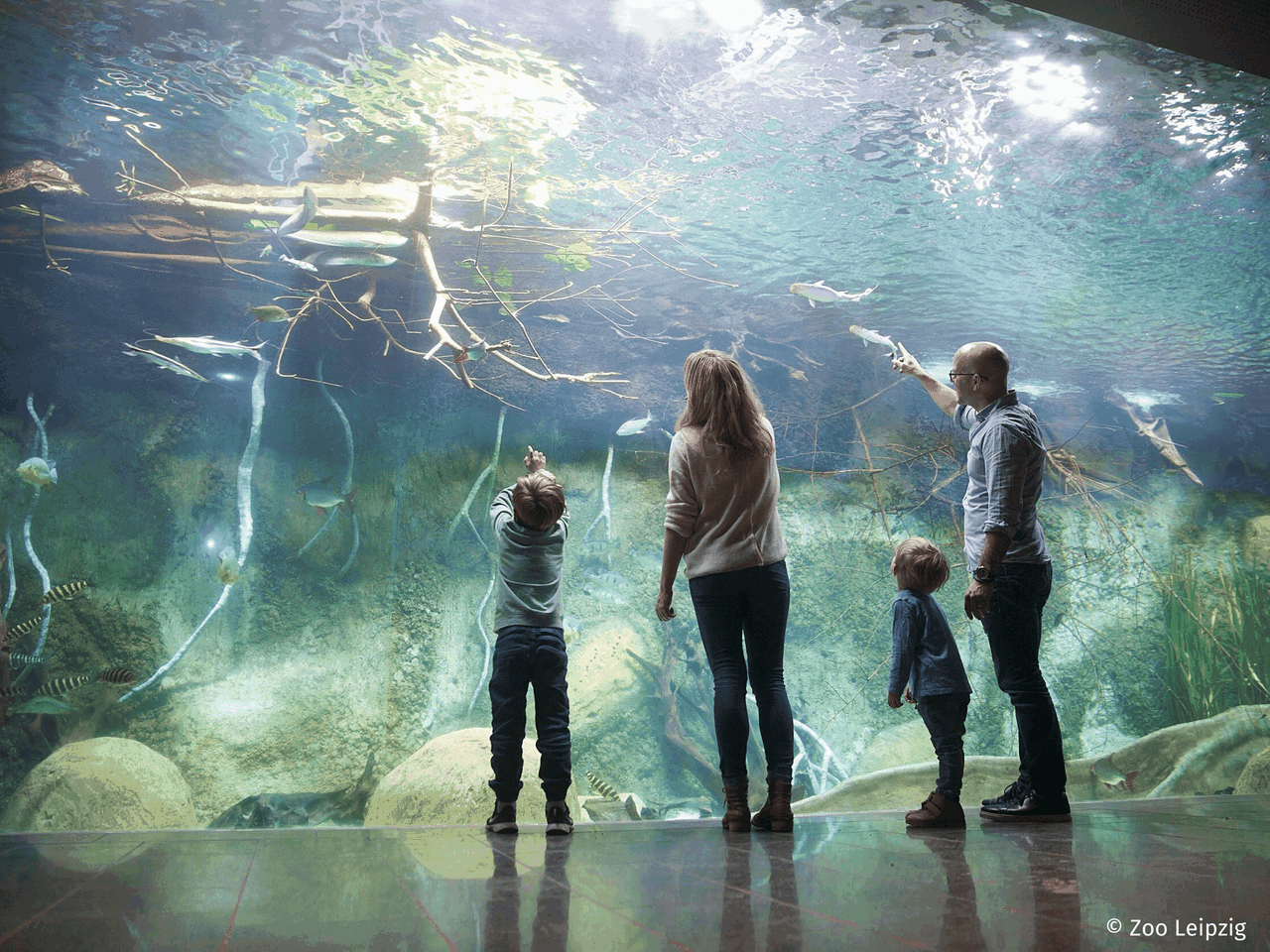 3 Tage Freizeitspaß im Leipziger Zoo für die Familie