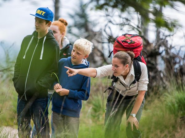 Wandern im Nationalpark Schwarzwald - 4 Tage inkl. Lunchpaket in Baiersbronn, Baden-Württemberg inkl. Halbpension Plus