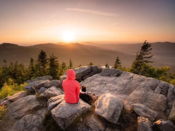 3 Tage im Hotel Ahornhof mit Frühstück in Lindberg, Bayern inkl. Frühstück