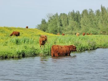 3 Tage Brabant erleben Citynähe & Ruhe in Zevenbergen