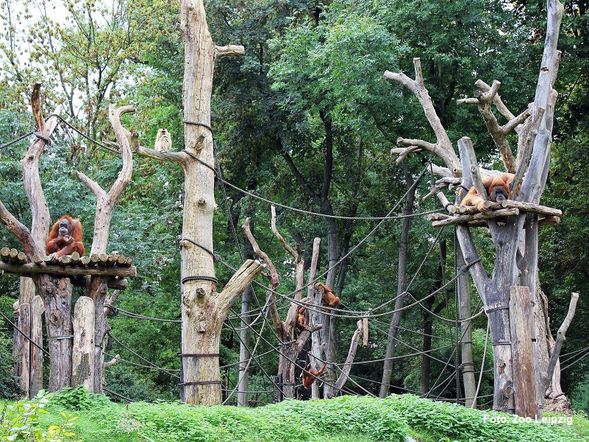 Zu Besuch im ZOO bei Erdmanns & Co. / 2 Nächte