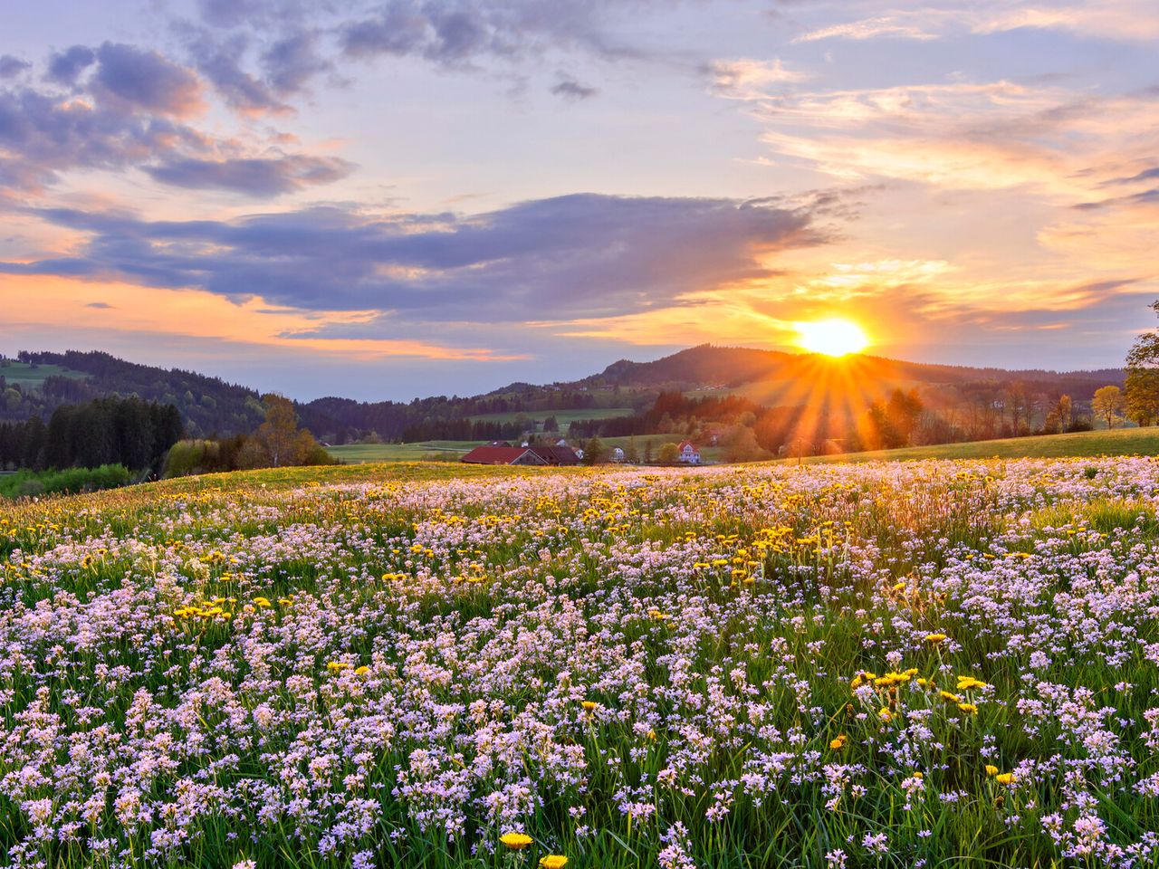 5 Tage Wanderzeit im Allgäu mit Lunchpaket & Wellness