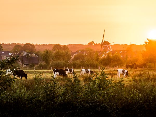 4 Tage Aktivurlaub Hellendoorn – Natur pur erleben,  inkl. Halbpension