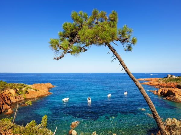 Urlaub im Herzen der Etruskerküste 6 Tage in Cecina inkl. Halbpension