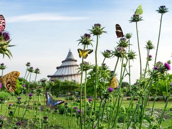 Vier Tage Kurzurlaub an der Elbe in Magdeburg