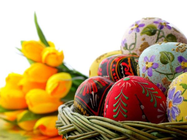 4 Tage Hasentage / Das Angebot für Ihren Osterurlaub in Kupferzell-Eschental, Baden-Württemberg inkl. Halbpension