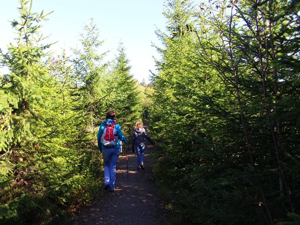 4 Tage umgeben vom Bayerischen Wald mit Frühstück