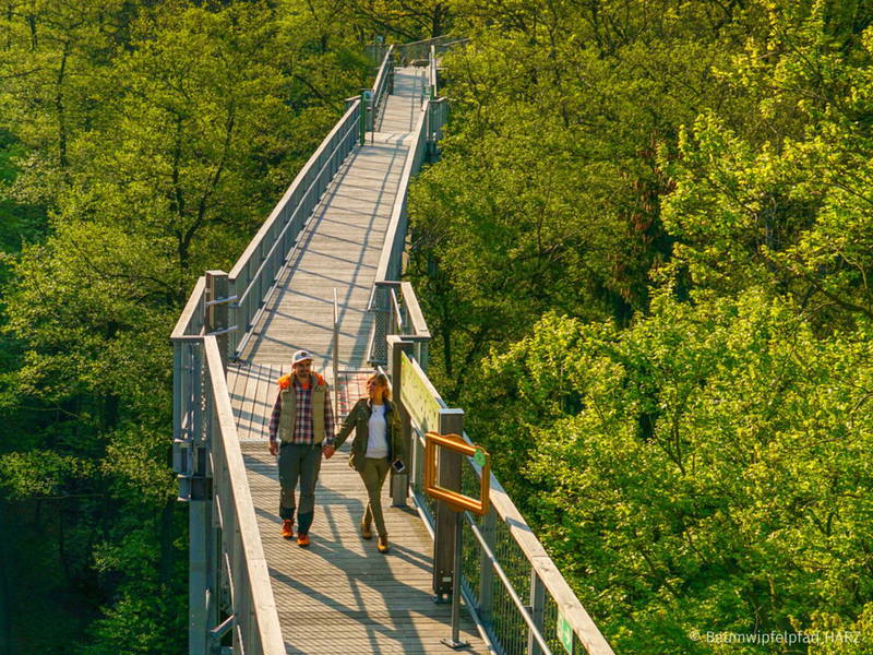 4 Tage Kurztrip im Harz mit süßer Verwöhnung