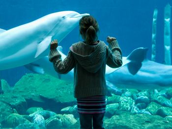 Tiergarten Nürnberg mit Hotel