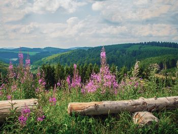 3 Tage Kurzurlaub in Astenkrone-Winterberg
