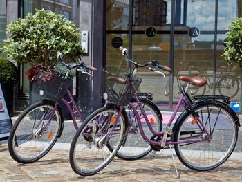 2 Tage Hansestadt und Wellness