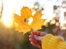 100 Jahre Herbstwoche – Lippstadt erleben 4 Tage