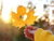 100 Jahre Herbstwoche – Lippstadt erleben 4 Tage