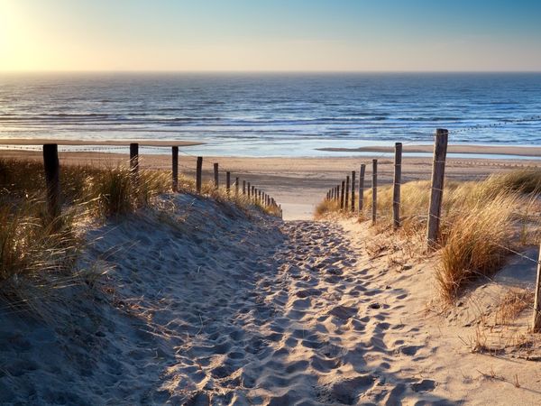 5 Tage Aktivurlaub: Mit dem Fahrrad an die Ostseefjordschlei in Kropp, Schleswig-Holstein inkl. Halbpension