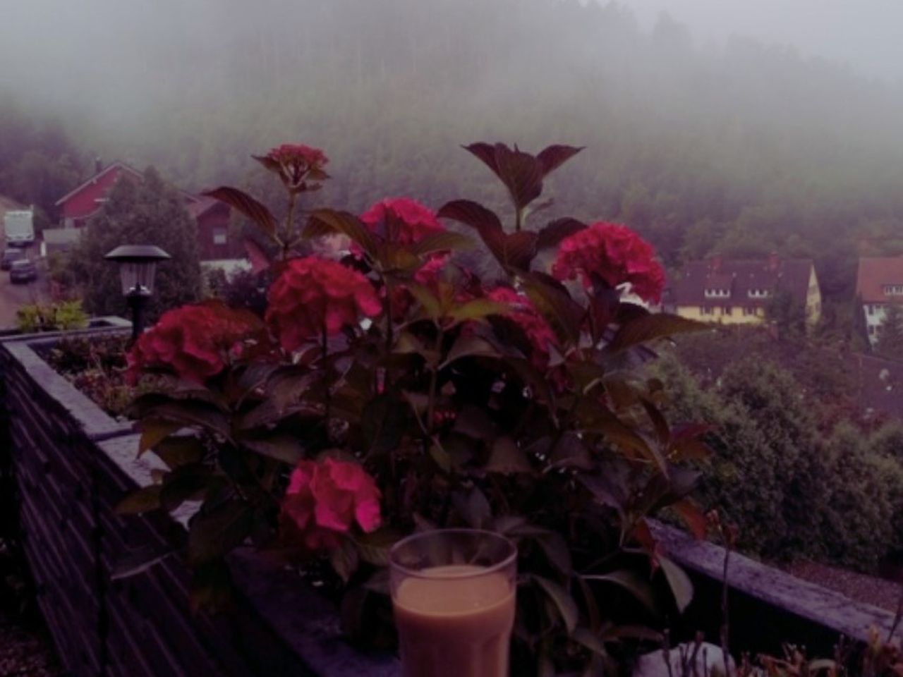 3 Romantische Tage im Schwarzwald mit Prosecco