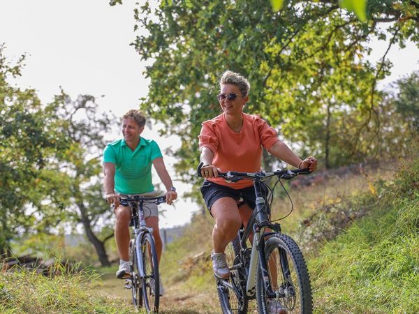 Radeln im lieblichen Taubertal-3 Tage inkl Lunchpaket in Weikersheim, Baden-Württemberg inkl. Halbpension