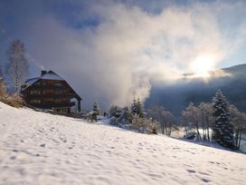 Umgeben vom Schwarzwald - 2 Tage Erholung am Titisee