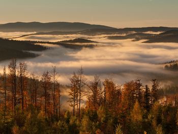 Familienzeit im Bayerischen Wald mit 3* Ferienwohnung