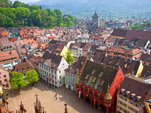 Perle des Breisgaus entdecken - 2 Tage in Freiburg in Freiburg im Breisgau, Baden-Württemberg