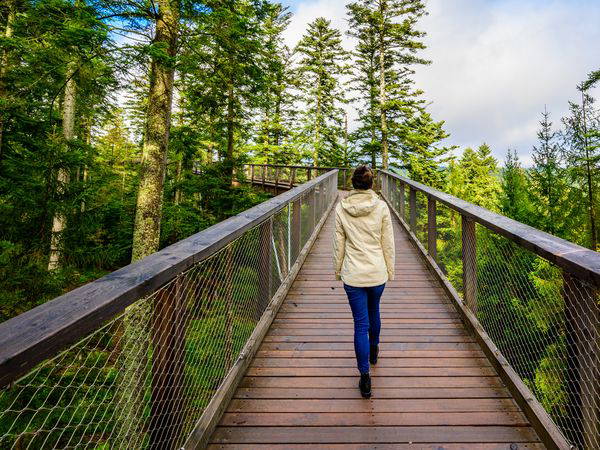 4 Tage für Naturgenießer im Schwarzwald mit HP in Bad Herrenalb, Baden-Württemberg inkl. Halbpension