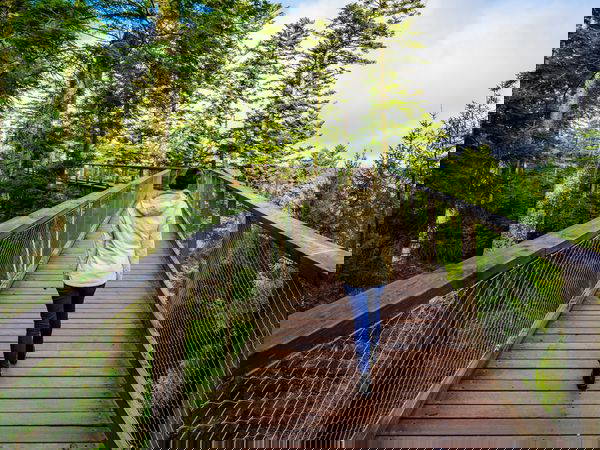 4 Tage für Naturgenießer im Schwarzwald mit HP in Bad Herrenalb, Baden-Württemberg inkl. Halbpension