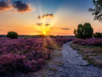 Kleine Auszeit in der Lüneburger Heide