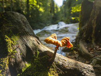Mein Lieblingsplatz: Wandern & Aktivurlaub im Allgäu