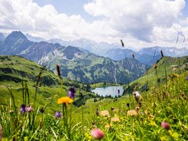 Bayerischer Wald für Individualisten inkl HP | 5 Tage