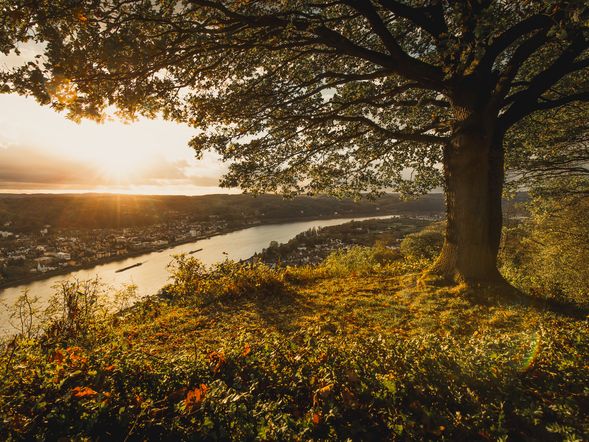 3 Tage Rhein Genuss in Bonn mit Frühstück