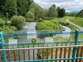6 Tage Kurzurlaub im Hochsauerland