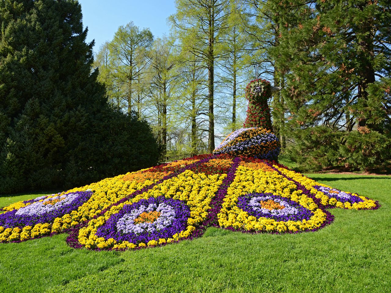 Blütenpracht auf der Insel Mainau am Bodensee-4 Tage