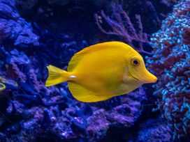 3 Tage Auszeit mit Zoo und Wellness im Saarland
