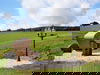 Wellness Balance Tage in Oberwiesenthal (Erzgebirge)