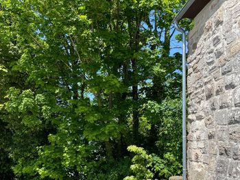 Bild 32 von 36