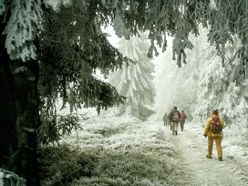 6 Tage Kurzurlaub im Hochsauerland