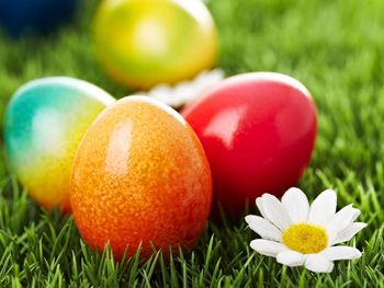 Ostern - 4 Tage im Sonnenhof Willingen