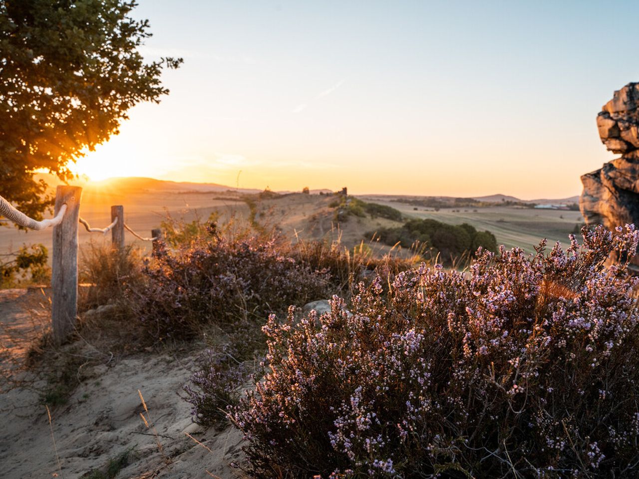 Urlaub mit 4 Pfoten im Harz / 3 Tage