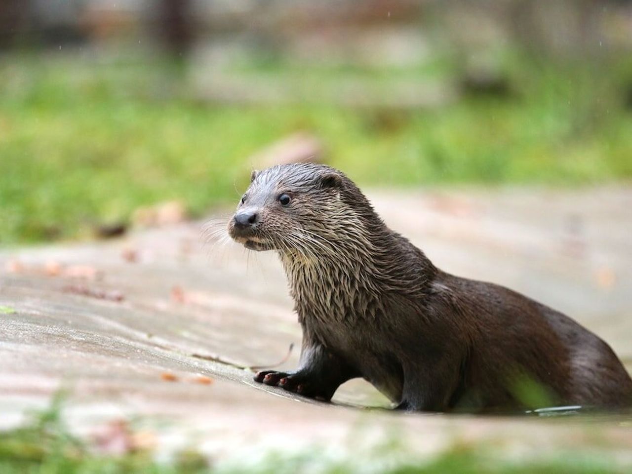 4 abenteuerliche Tage in der Natur