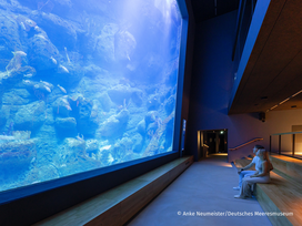 Meeresmuseum Stralsund mit Ticket und Hotel