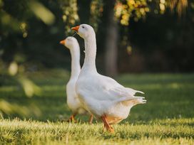 Silvesterzauber im malerischen Ruwertal